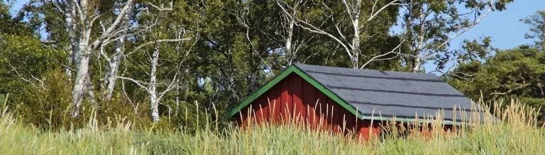 Hütte auf Grasland, dahinter ein Birkenwald