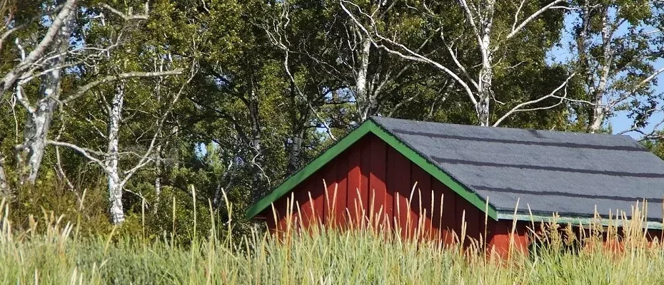 Hütte auf Grasland, dahinter ein Birkenwald