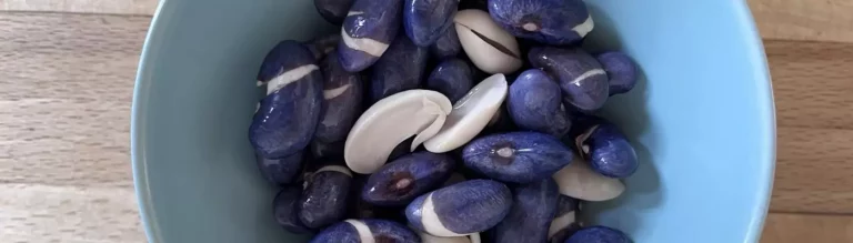 Von verkrumpelten Bohnen und Herzen