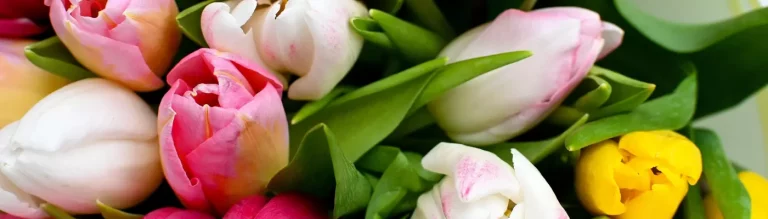 Ein Tisch nur für mich