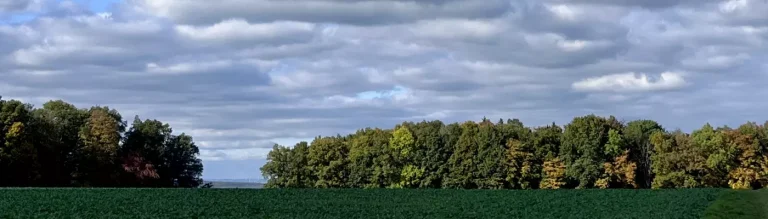Blick über die Felder und Bäume in den Himmel
