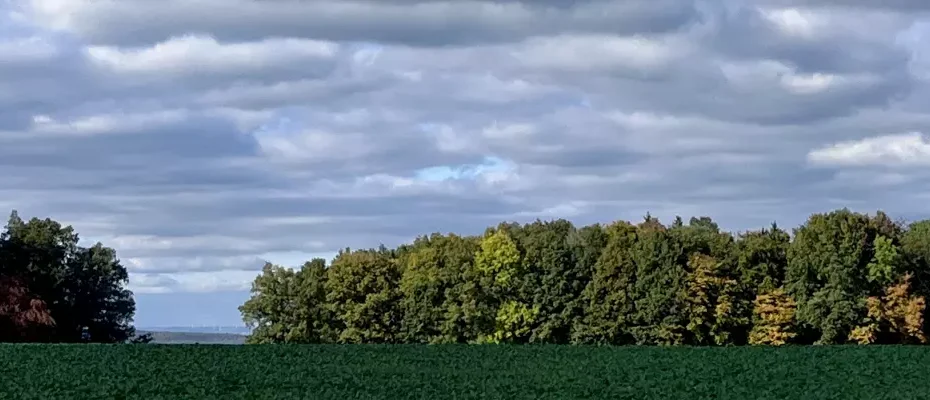 Blick über die Felder und Bäume in den Himmel